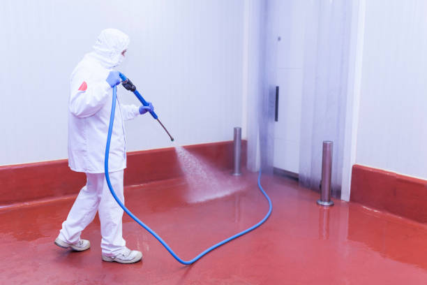 Professional Pressure Washing Services in Hamilton, OH